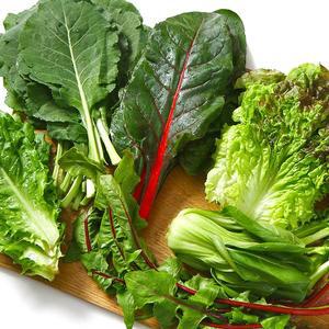 [밥선생]친환경 모듬 쌈채소 1kg 6종 내외 청정 신선채소 선별