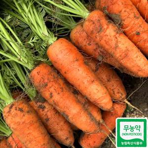 무농약 국내산 친환경 햇당근 흙당근 3kg 5kg