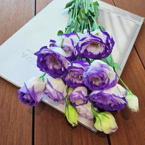 [꽃같은하루] 보라색 리시안셔스 꽃다발 생화 택배 리시안서스 온라인꽃집
