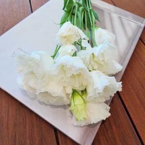 [꽃같은하루] 화이트 리시안셔스 꽃다발 생화 택배 리시안서스 온라인꽃집