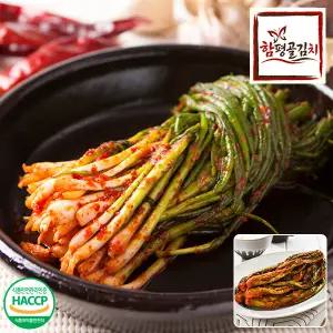 [함평골김치] 감칠맛이 풍부한 전라도 파김치1kg+여수갓김치1kg