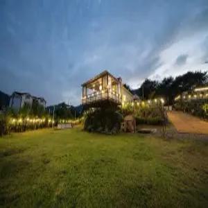 [경기] 가평 포도밭 댕댕이 애견펜션(경기, 가평)