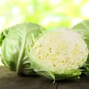 세상별미 유기농 양배추 5kg 친환경 무농약