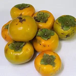 가성비 끝내주는 가정용 비품 경남 단감 10kg 소과