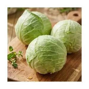 제주 미니양배추 아삭 달콤 양배추 1.5kg 3kg 4.5kg