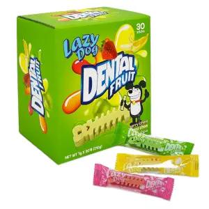 레이지독 덴탈 프루츠 210g (30개)