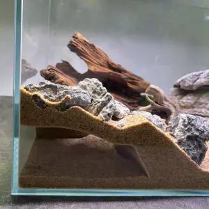 누마 도마뱀은신처 게코은신처 특이한 거미 파충류 뱀 숨숨집