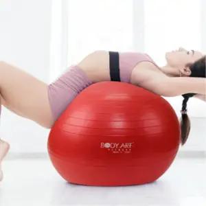 출산전 스트레칭 홈트운동 임산부짐볼 55cm 요양원 유산소운동 병원 헬스장 요가학원