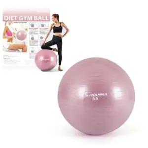짐볼 55 와일드핑크 필라테스 안티버스트 짐볼 원형 필라테스 스트레칭