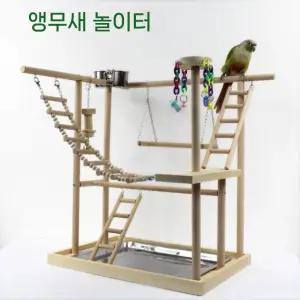 앵무새 D타입 사랑앵무 코뉴어 놀이터 카이큐