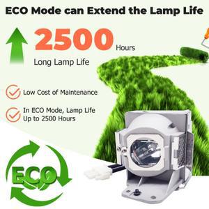 Inmoul RLC-072 EC.JD700.001 SP-L-069 ViewSonic PJD5113 ACER P1120과 호환 가능