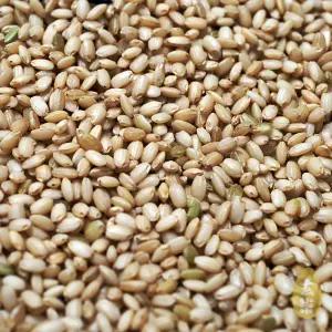 국산 찰현미 5kg 찹쌀현미 현미찹쌀