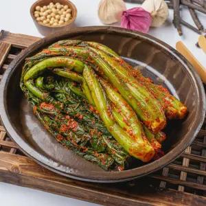 국내산 전라도 갓김치 2kg