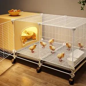 메추리 키우기 병아리 사육장 미니메추리 케이지