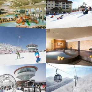 [강원] 25/26 하이원리조트 리프트권/사우나/눈썰매장/워터월드/무인카페 PKG