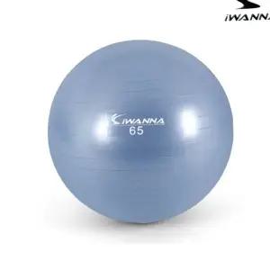 L93 안티버스트 짐볼 65cm 라벤더 테스 헬스 운동 근