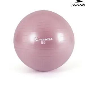 L11 안티버스트 짐볼 55cm 와일드 핑크 테스 헬스 운