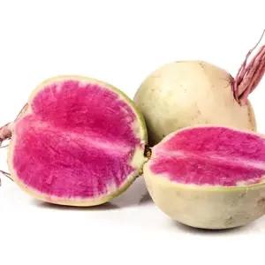 빨간홍심무 수박형무씨앗 300립 채소씨앗 야채종자 홍심채소씨앗 (WFKBYR5)