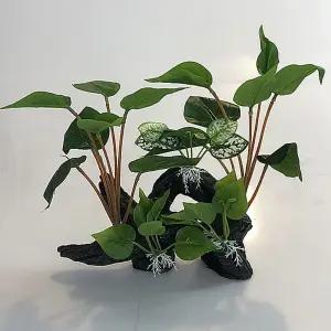 수족관 어항 유목 수초 장식 대