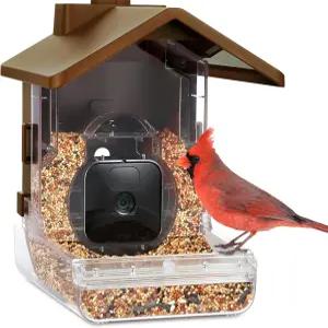 Blink Outdoor 4 Wyze Cam OG 및 Ring Stick Up 카메라를 포함한 카메라와 Wasserstein Bird Feeder 카메라