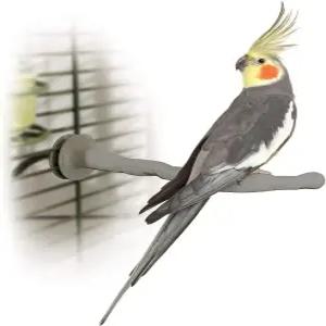 KH 반려동물 용품 케이지용 보온 농어 새 케이지 액세서리 잉꼬 코카티엘 카나리아 등 소형중형 깃털 친구