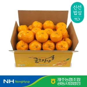 [제주농협] 윈터프린스 2kg 로얄과(9-16입)