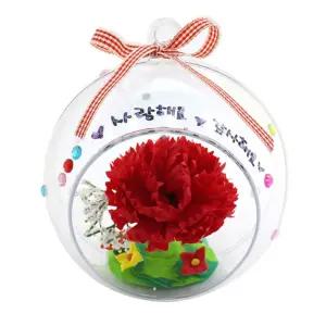 (글로벌이지) 카네이션 투명볼-10인포장