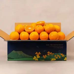 달콤한 제주 서귀포 고당도 노지 감귤 4.5kg S-M 로얄과