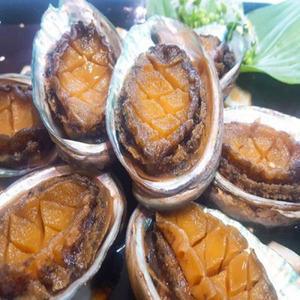 삼복호 전복장 1kg(7~8마리)