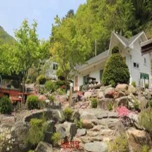 [강원 펜션] 정선 도원펜션&캠핑장 (영월,정선)