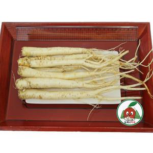 청정 영주소백산도라지 세척_나물도라지1kg특상품