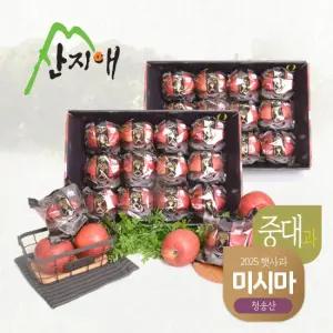 산지애 블랙라벨 사과 6kg (3kg*2박스, 총 22~24과)