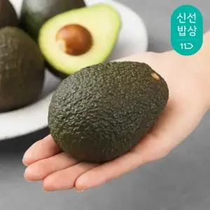 고품질 생 아보카도 대과 골라담기 (5입/10입/15입)