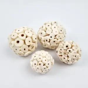 솔라볼 6cm 오리지널 앵무새 장난감 뜯기 입질 공놀이 스트레스해소 운동효과 새용품 앵무새용품