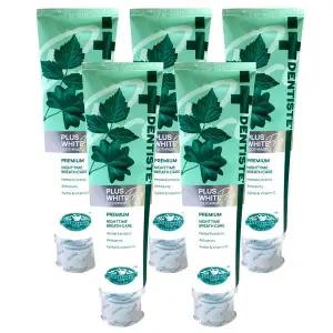 덴티스테 플러스 화이트 프로 (불소 1000ppm) 치약 160g x5개