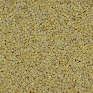 국산 기장 2kg  찰기장 25년산