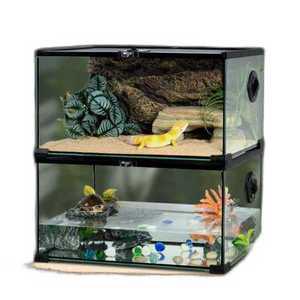 사육장 거북이 도마뱀 뱀 아크릴 하우스 키우기