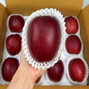 T 고당도 정품 엔부사과(대과) 애플피치 복숭아사과 산지 제철과일