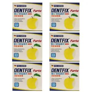덴트픽스 틀니 치아교정기 전문 세정제 세척 소독제 6통