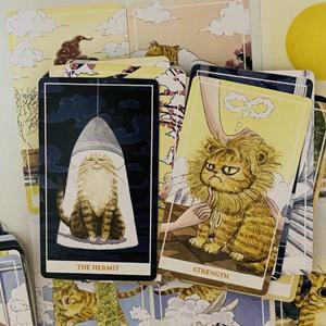 78PCS 써니 오렌지 고양이 타로 데크 영어 귀여운 고양이 타로 카드 점술 에디션 고양이 애호가를위한 Bora