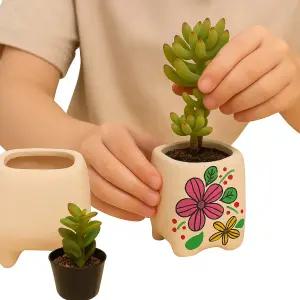 다육이 화분 만들기 체험세트 DIY 원예활동 어린이 교육용 취미키트