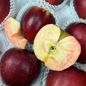 안동 영주 엔부 사과 1kg 3-5과 중대과 못난이사과 엠부사과 속 빨간사과 피치사과 피