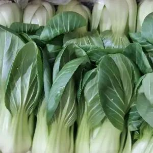 국내산 특품 청경채 2kg 4kg