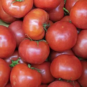 국내산 완숙토마토 로얄 중과 5kg