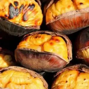 25년 공주 부여 칼집밤 포르단밤 뜨래밤 중/대(칼집O) 1kg