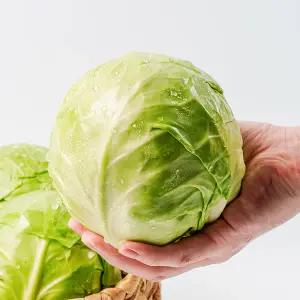 [전청프레시] 아삭달콤 국내산 미니 양배추 2kg내외
