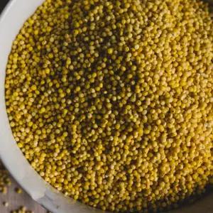 국산 찰기장 5kg 기장쌀 25년산 -[정성든농수산]