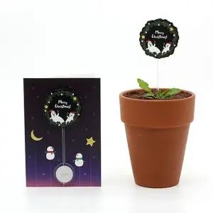 씨드스틱 디자인 선물 크리스마스씨앗카드 디자인리스씨드 (WFJ736K)