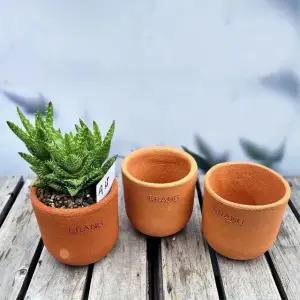 TC 이랑 국내산 수제토분 A15 2개세트-핸드메이드 화분 (WFJ702K)