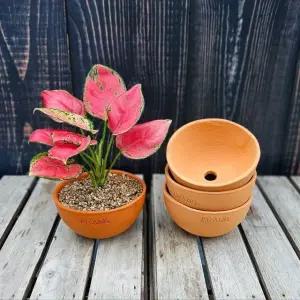 TC 이랑 국내산 수제토분 A12 2개세트-핸드메이드 화분 (WFJ702H)